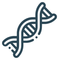 6.Preimplantation <br /> Genetic Testing